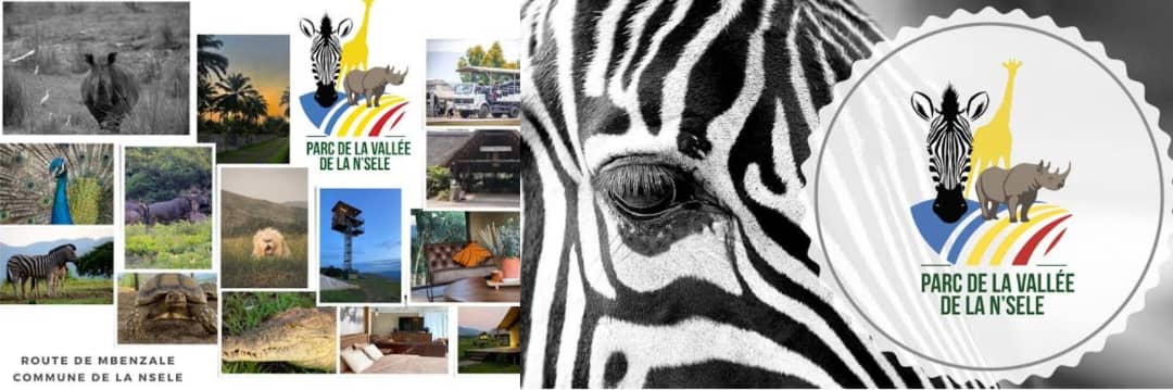 WhatsApp Image 2025-10-22 à 22.31.19_aae8014a