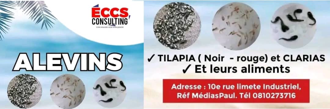 WhatsApp Image 2025-10-22 à 22.31.19_b3efb20f